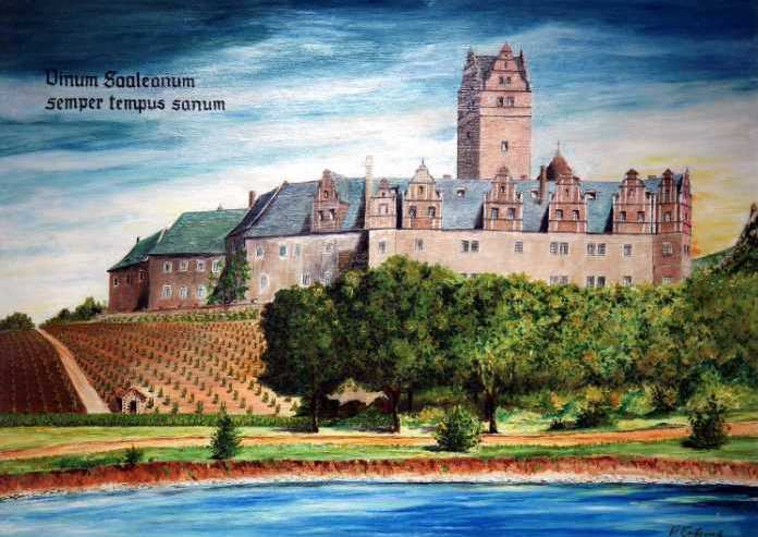 Weingarten am Schloss Plötzkau